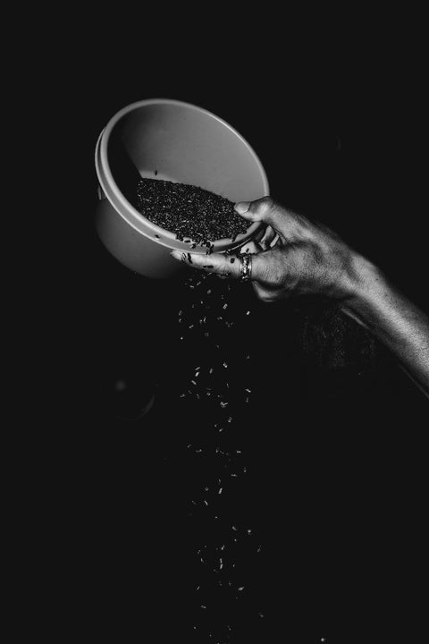 Broccoli seeds (500g)
