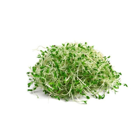 [Pre-order] Shhupergreens - Small batch organic sprouts kale, alfafa & broccoli capsules